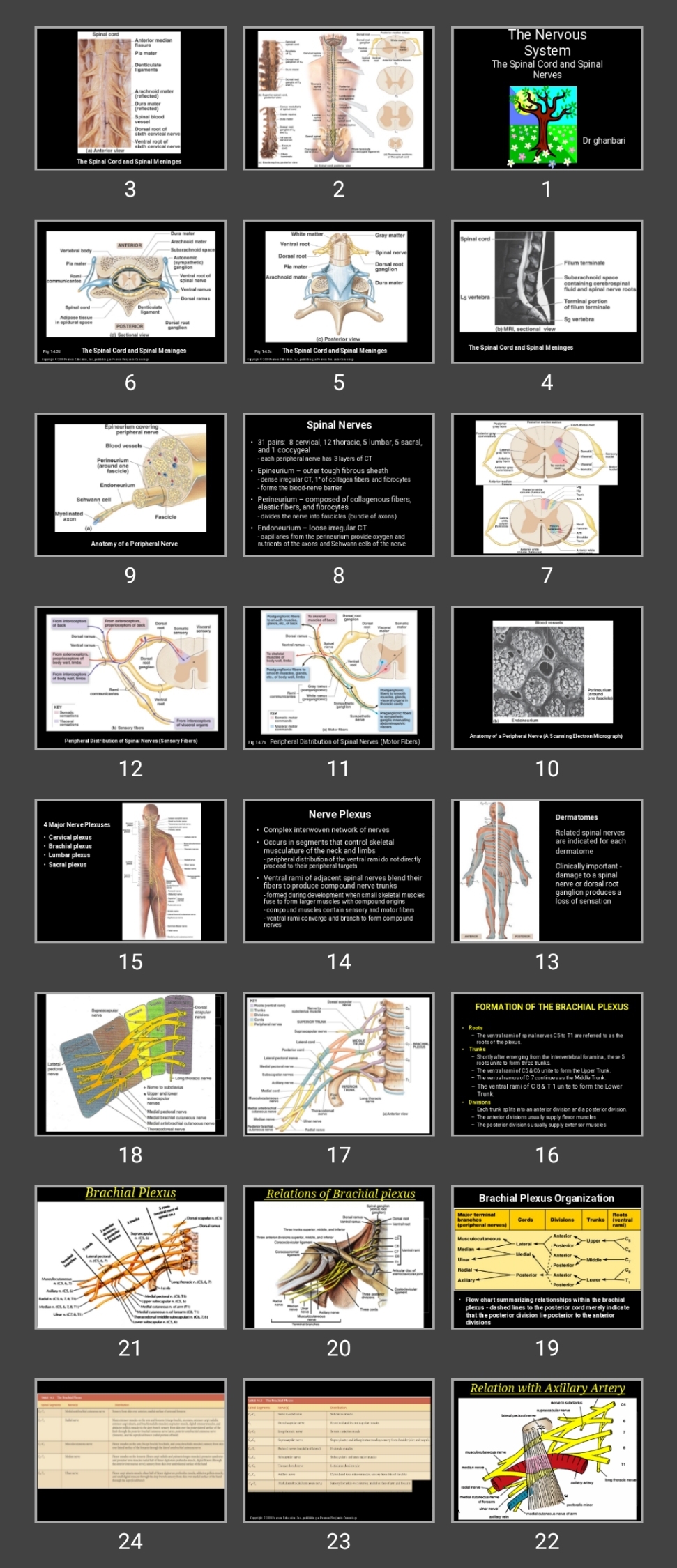 پاورپوینت The Nervous System