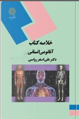 جزوه و خلاصه کتاب آناتومی انسانی از دکتر علی‌اصغر رواسی رشته تربیت بدنی