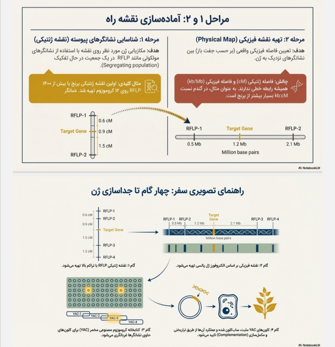 جدیدترین فایل های فاپول