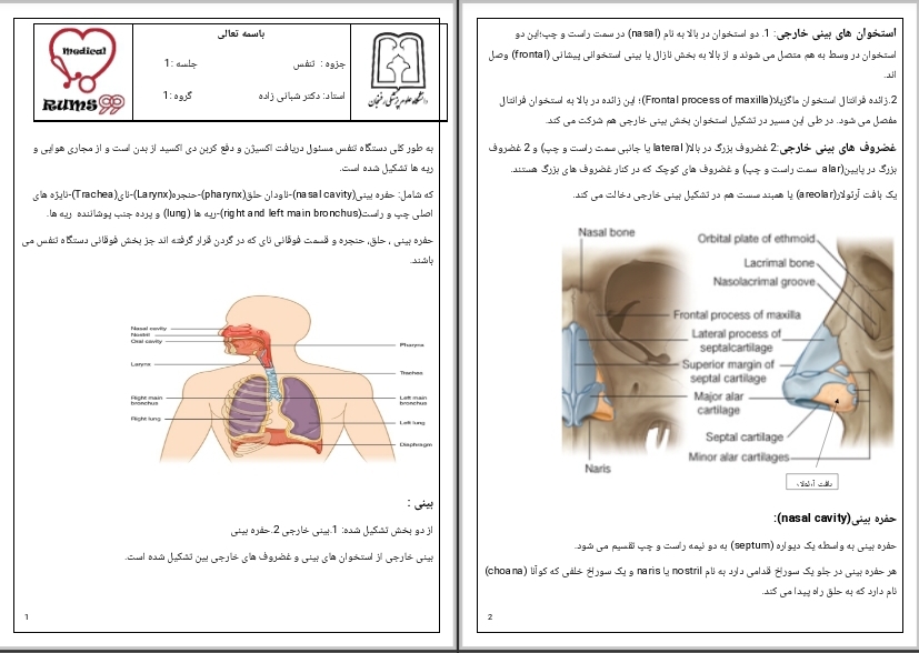 جزوه تنفس جلسه ۱