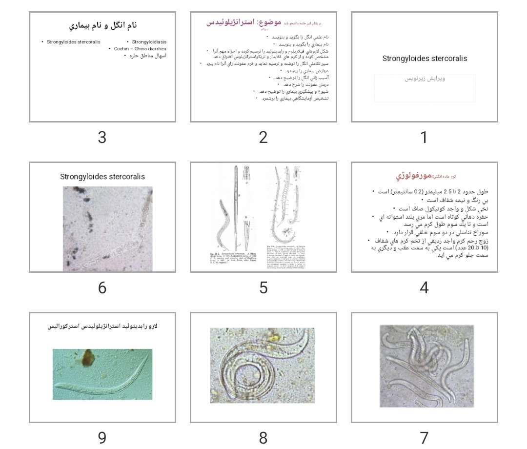 پاورپوینت Strongyloides stercoralis