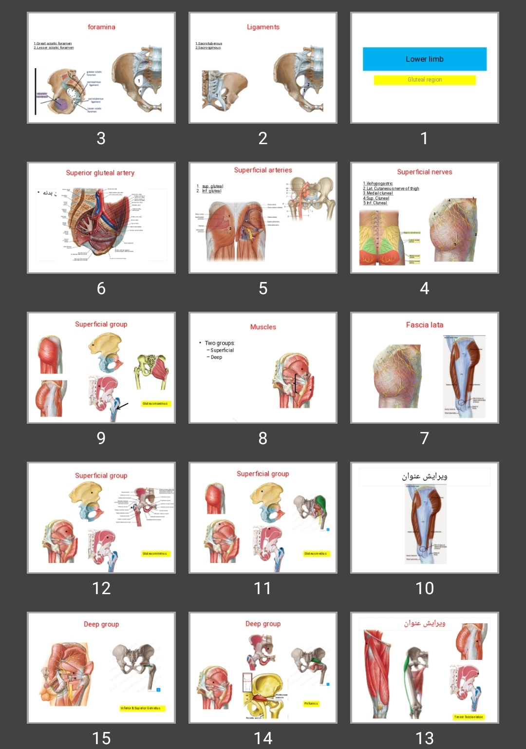 پاورپوینت Gluteal