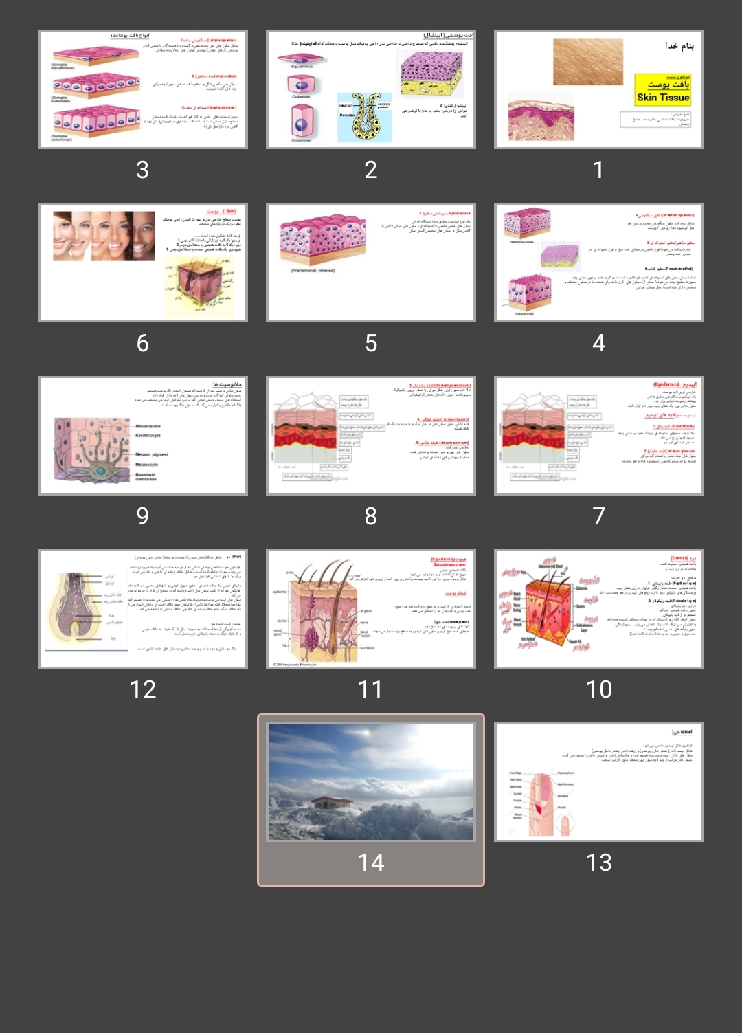 پاورپوینت بافت پوست Skin Tissue