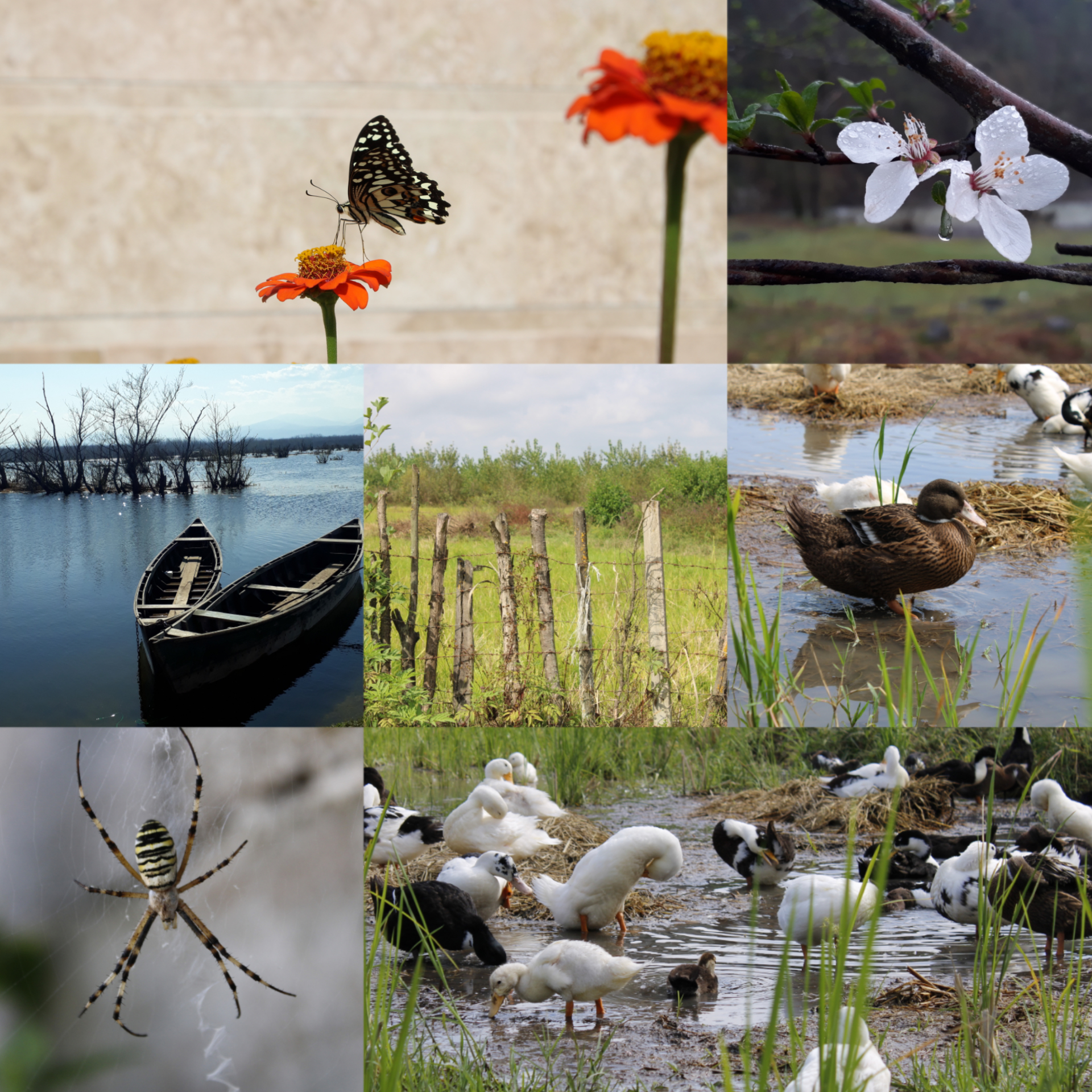 مجموعه عکس حیوانات و طبیعت