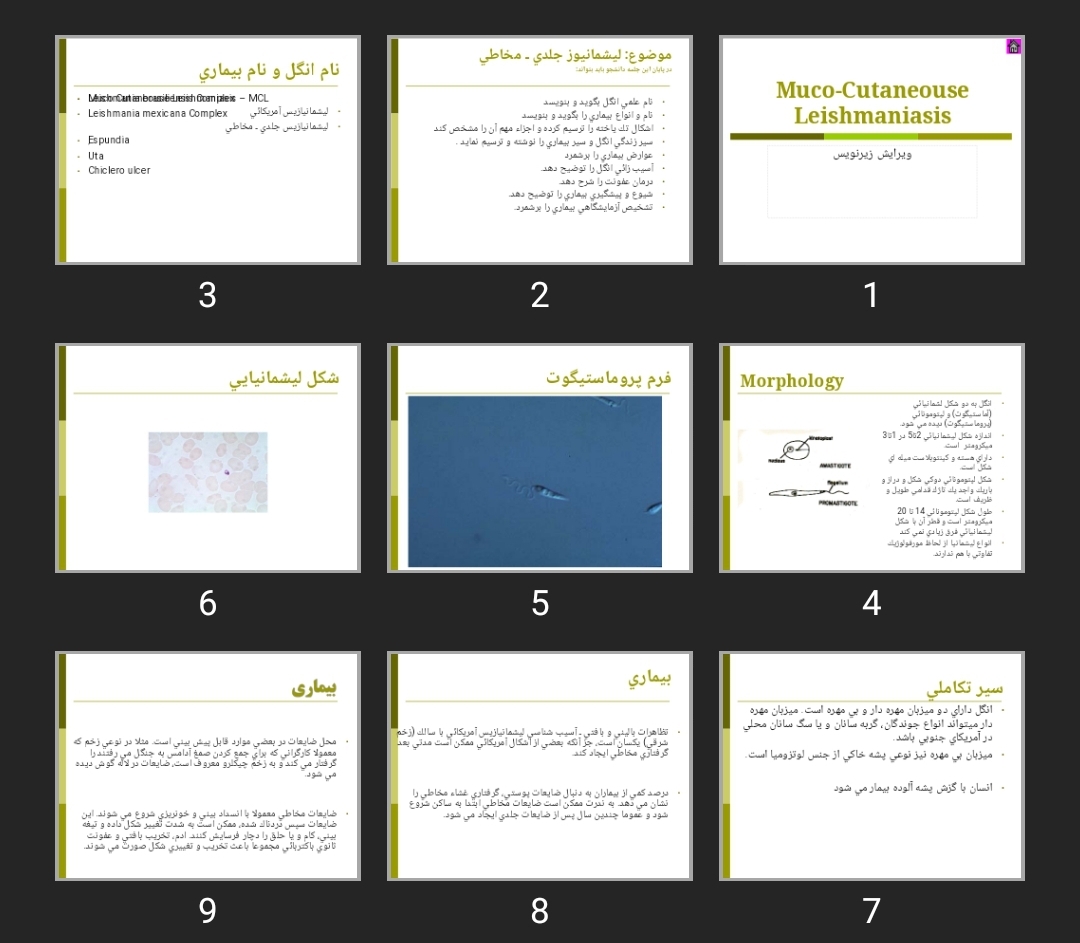 پاورپوینت Muco-Cutaneouse Leishmaniasis
