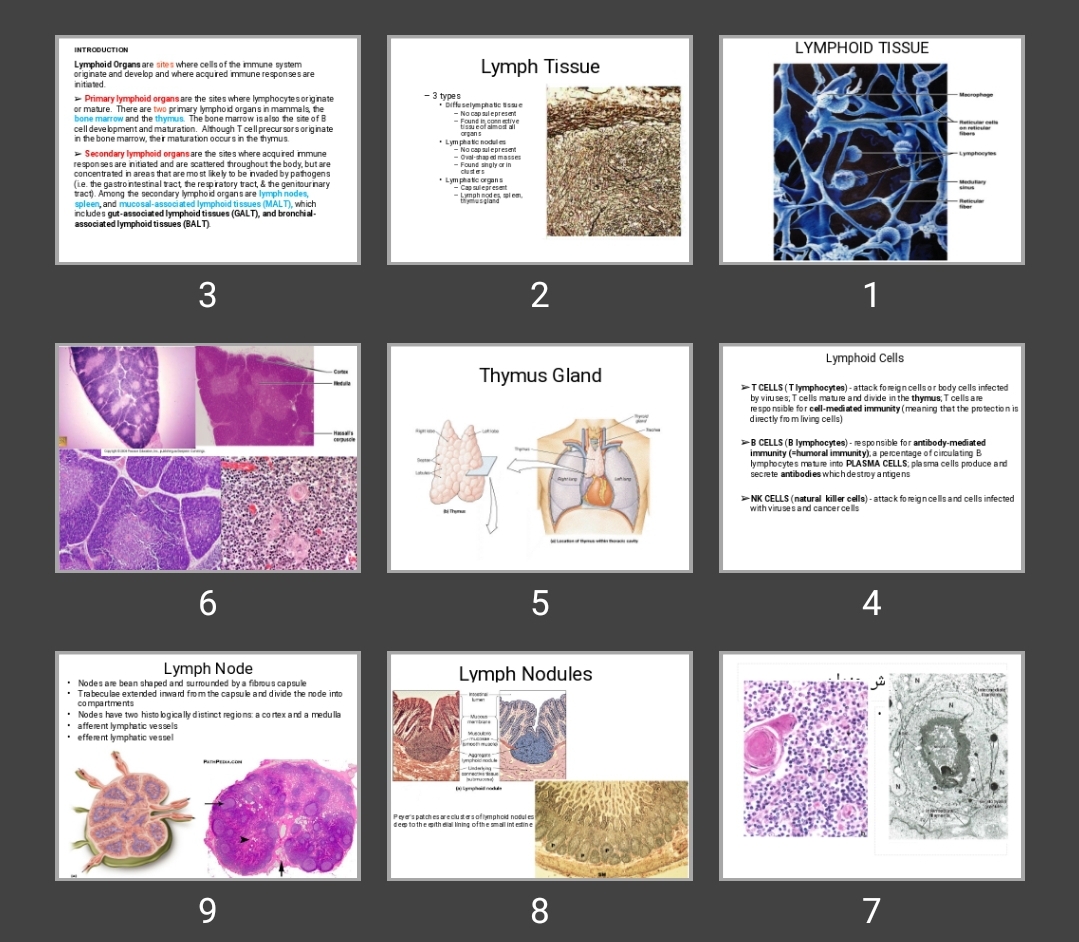 پاورپوینت LYMPHOID TISSUE