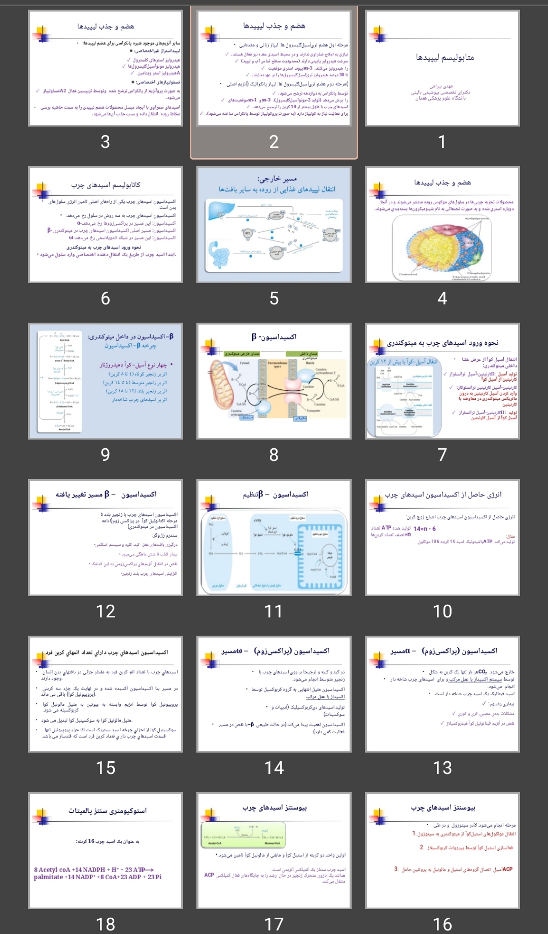 پاورپوینت متابولیسم لیپیدها