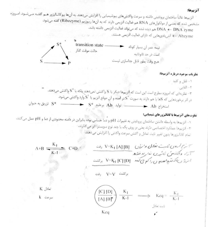 آنزیم ها(جزوه) 🔬 نسخه کامل ✅