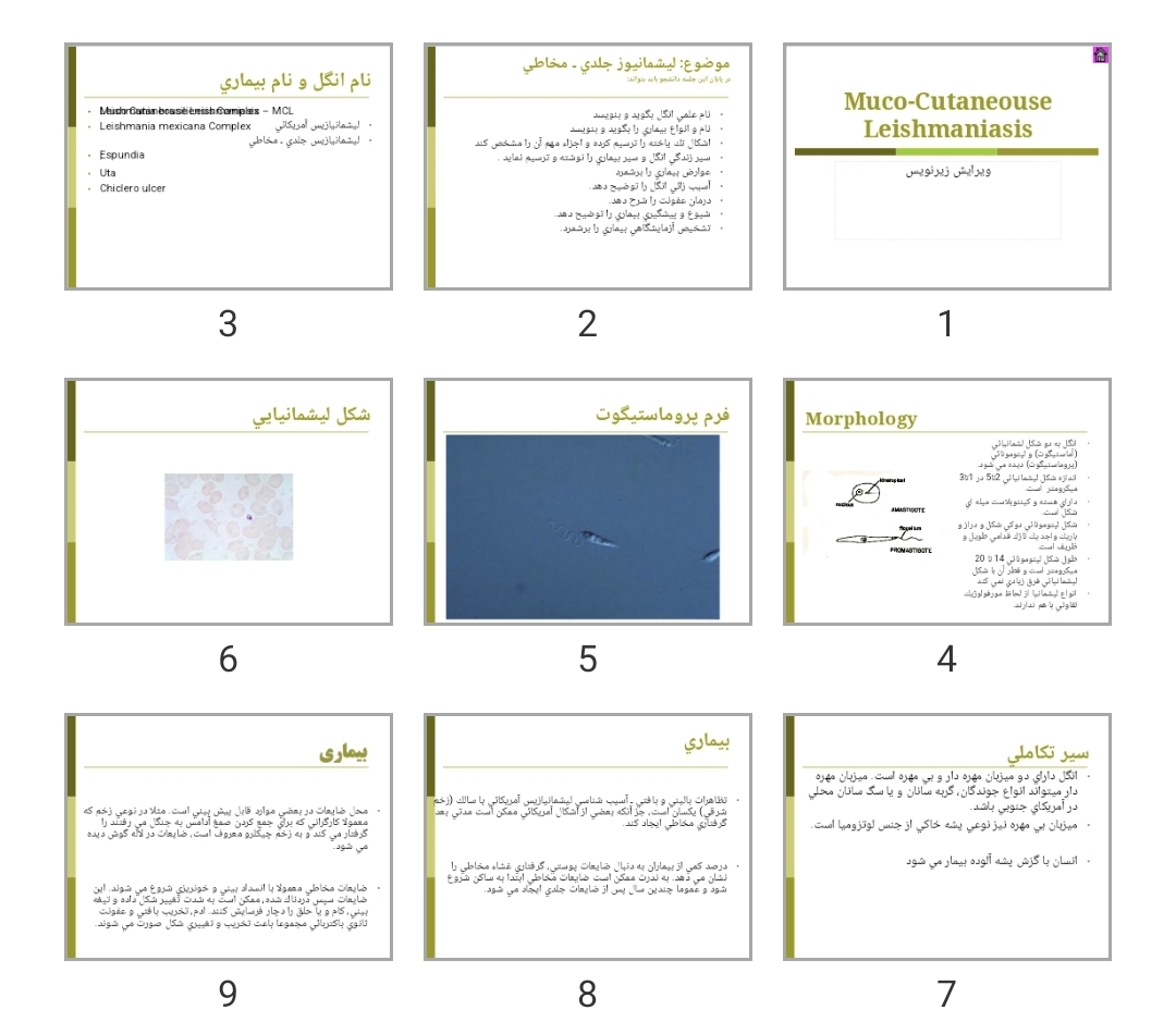 پاورپوینت Muco-Cutaneouse Leishmaniasis