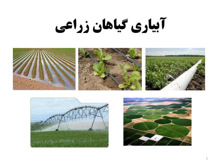 📝جزوه: آبیاری گیاهان زراعی          🖊استاد: بشیرنیا          🏛 دانشگاه آزاد                (نسخه کامل)✅