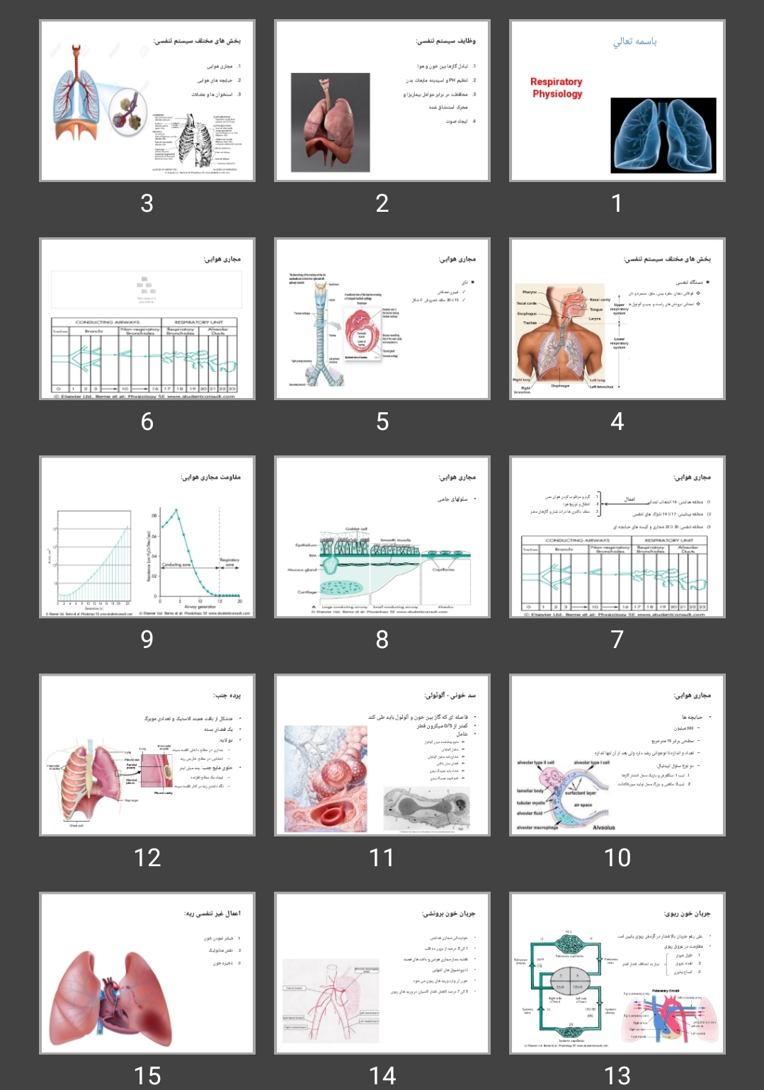 پاورپوینت فیزیولوژی تنفس (Respiratory Physiology)