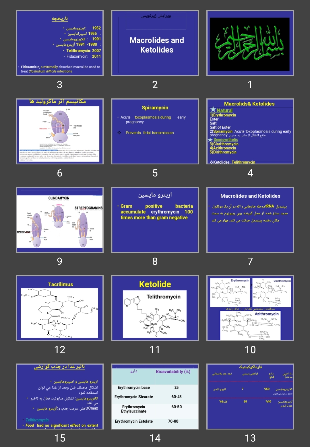 پاورپوینت ماکرولیدها Macrolides and Ketolides