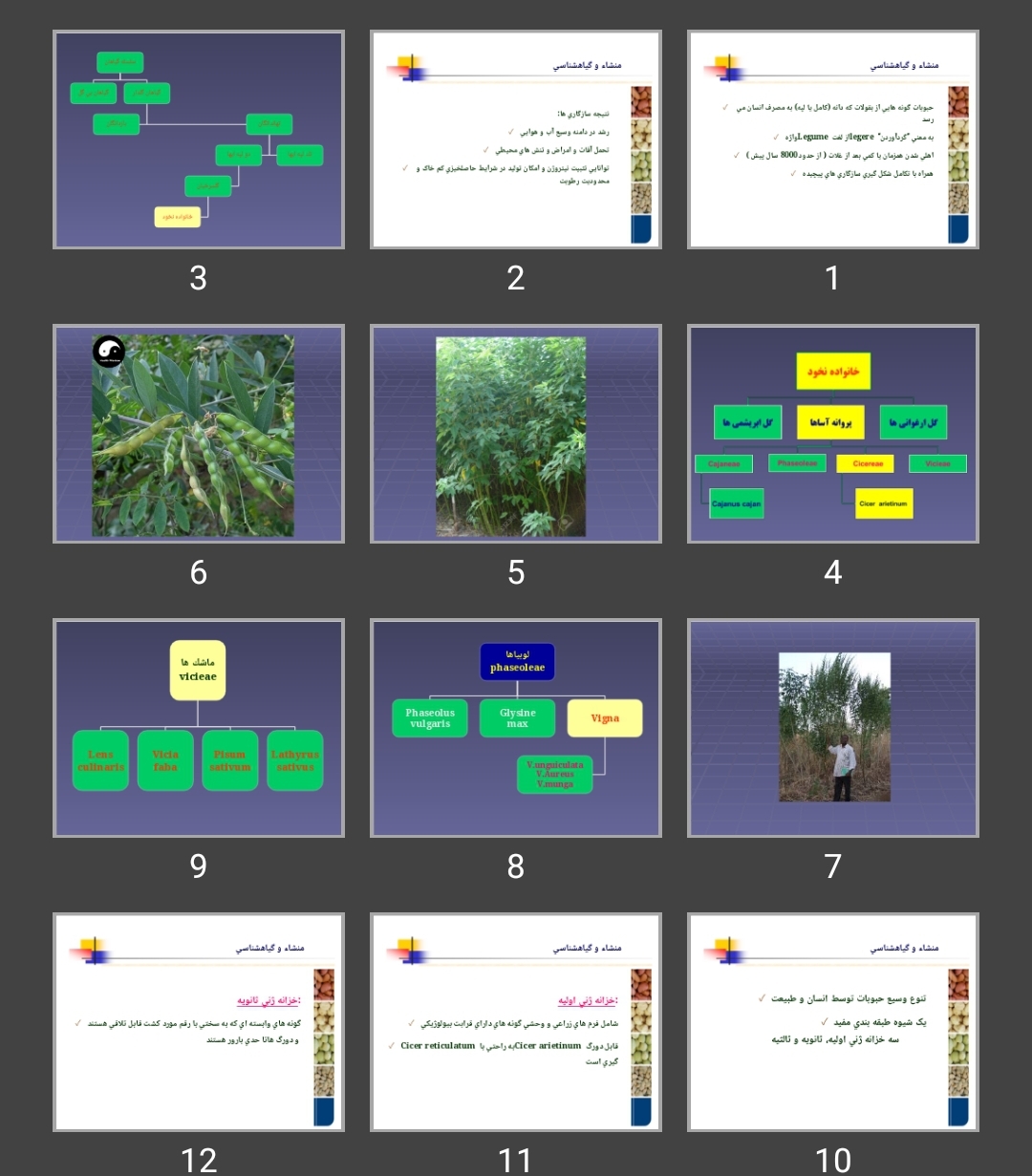 پاورپوینت منشاء و گياهشناسی