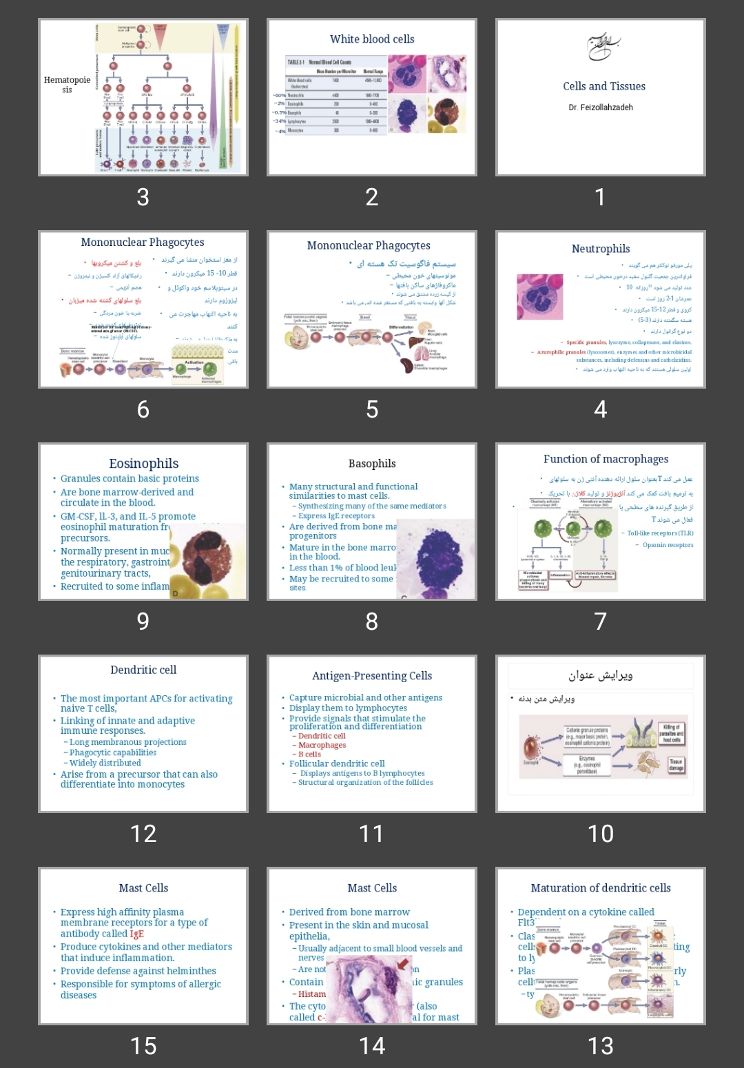 پاورپوینت Cells and Tissues