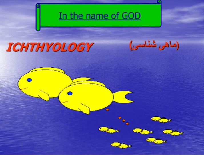 جزوه ماهی شناسی با جزئیات کامل - ۲۸۹ صفحه