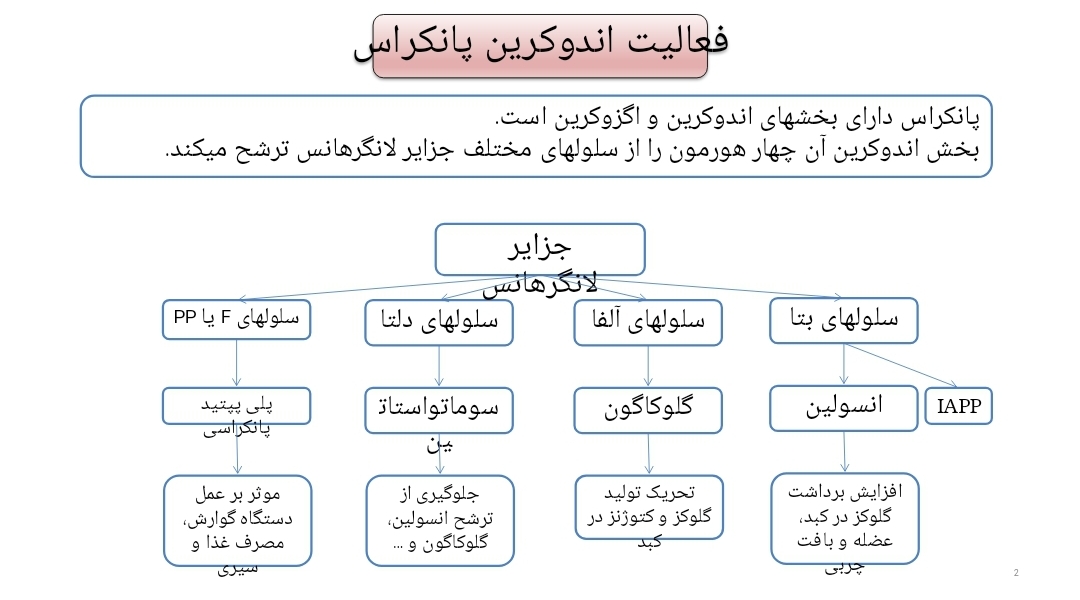 پاورپوینت هورمون های دستگاه گوارش و پانکراس