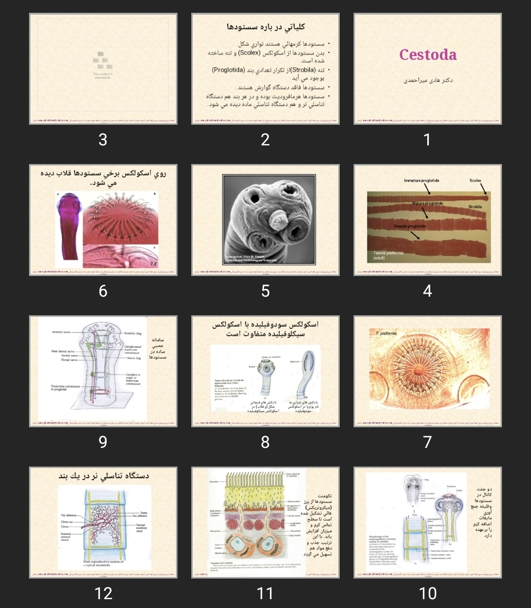 پاورپوینت Cestoda دستیاری پزشکی