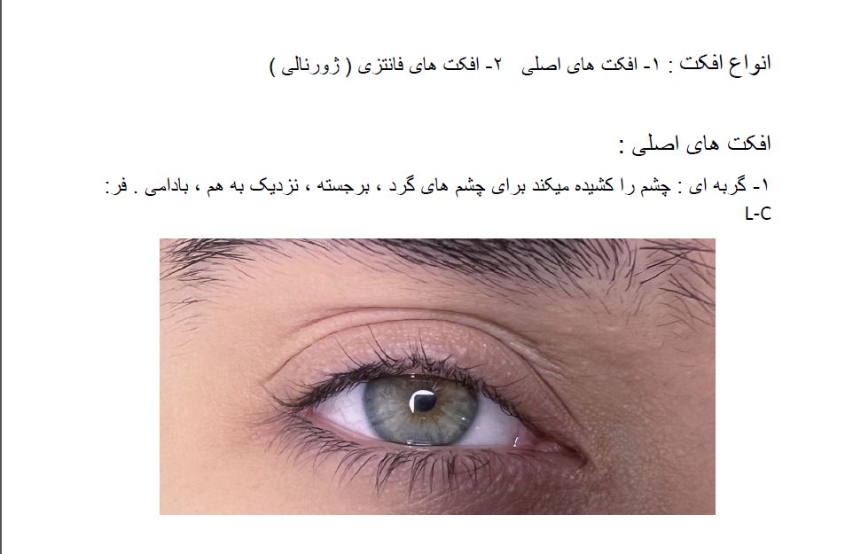 فایل جزوه اکستنشن و  آموزش کاشت مژه