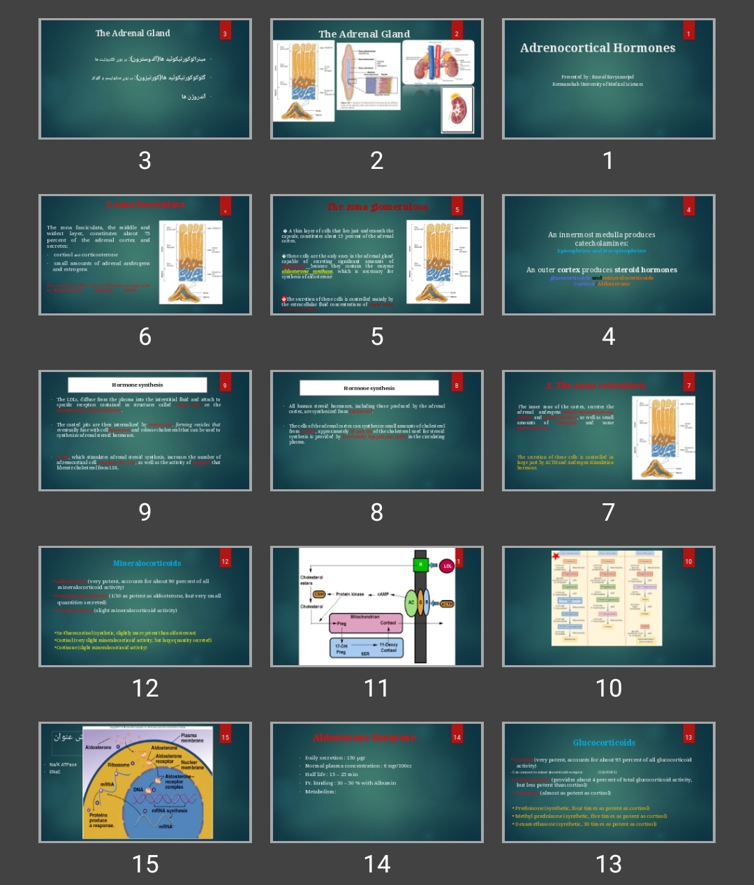 پاورپوینت Adrenocortical Hormones