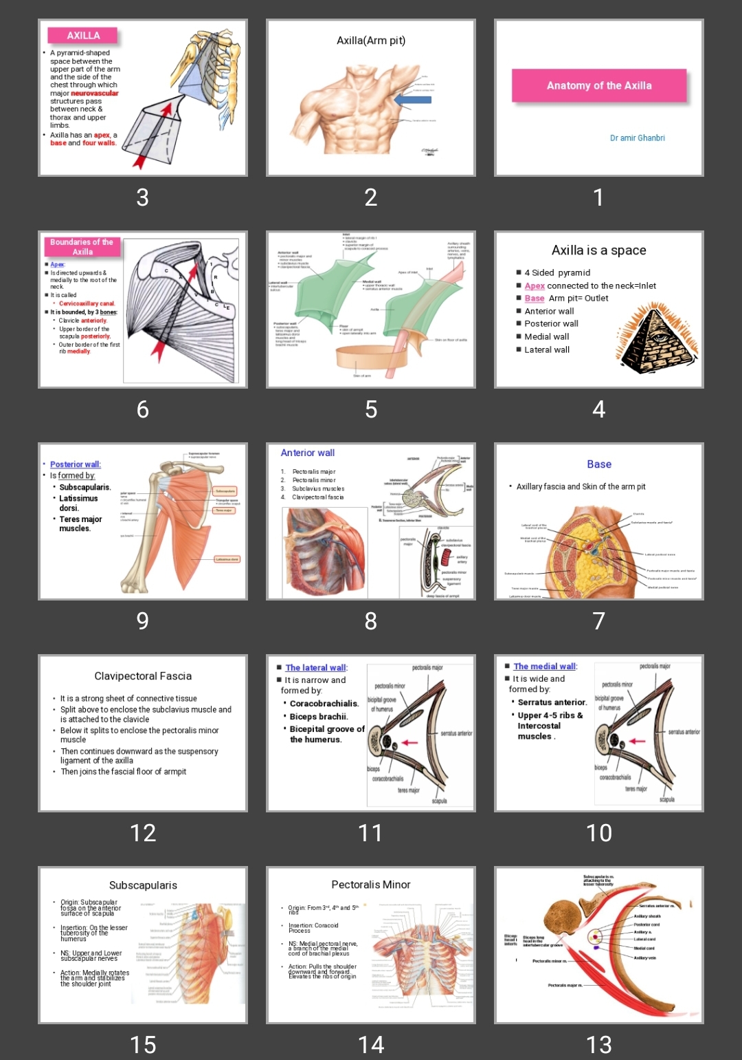 پاورپوینت Anatomy of the Axilla