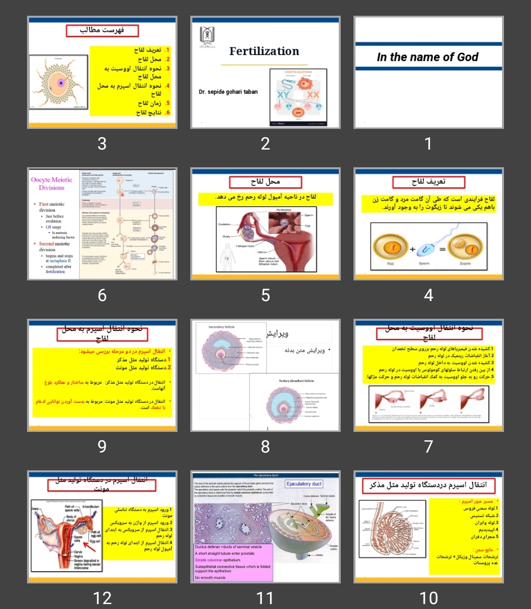 پاورپوینت Fertilization