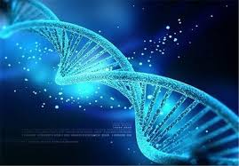 ژنتیک به زبان ساده