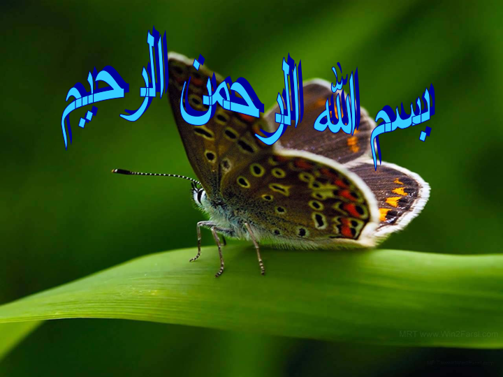 (نسخه کامل)✅           📝جزوه: آموزش نرم افزار DS