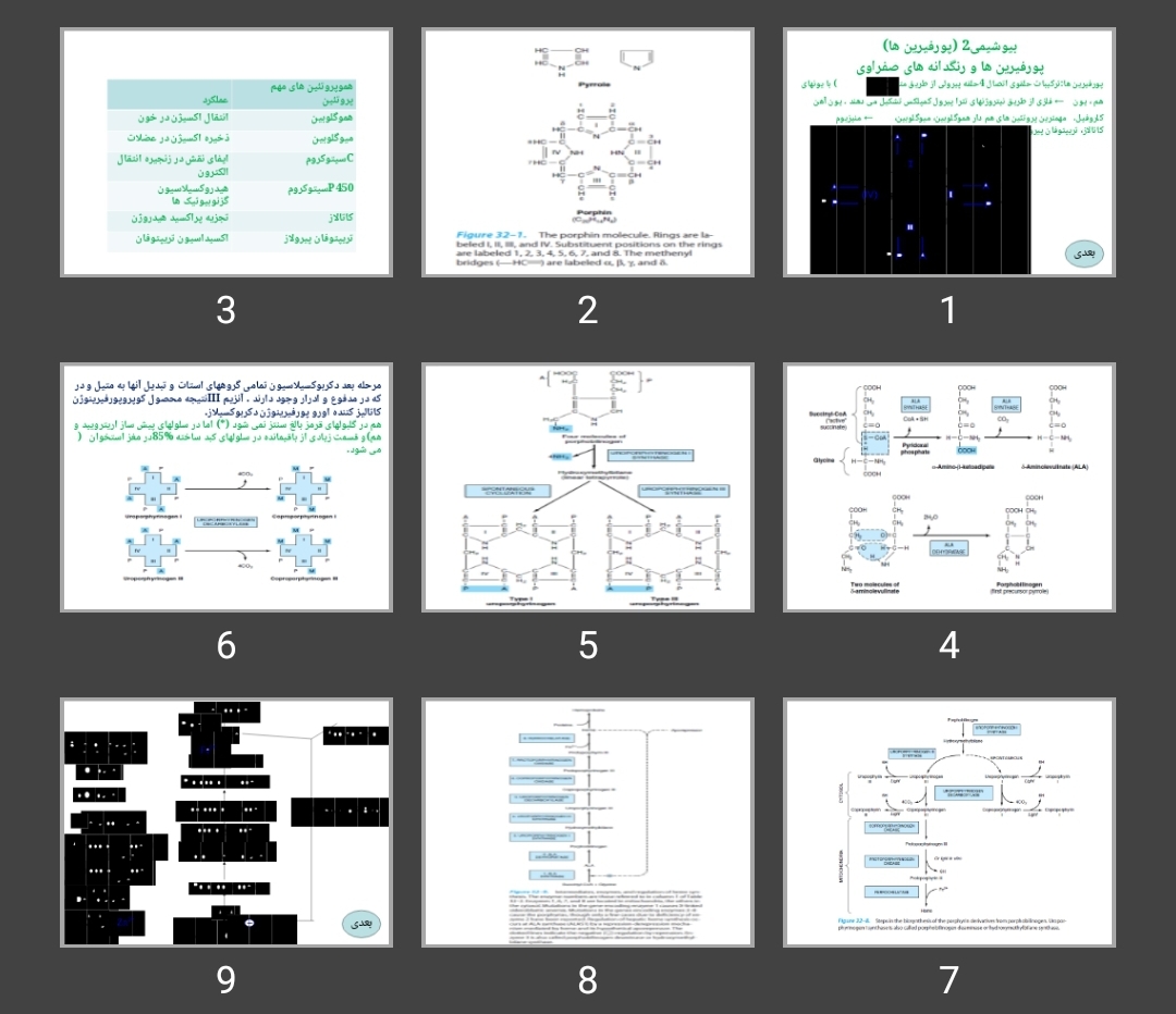 پاورپوینت پورفیرین