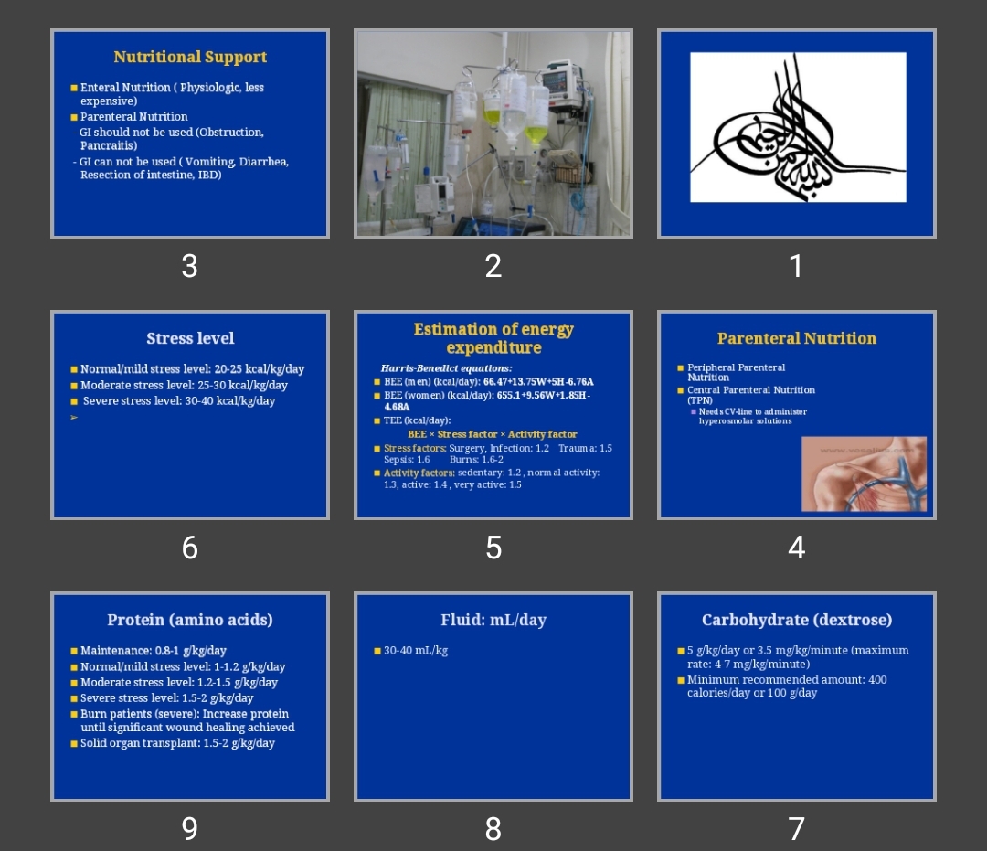 پاورپوینت TPN
