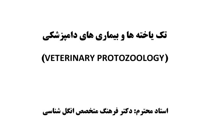 جزوه تک یاخته ها و بیماری های دامپزشکی/ تایپی ۱۳۷ ص