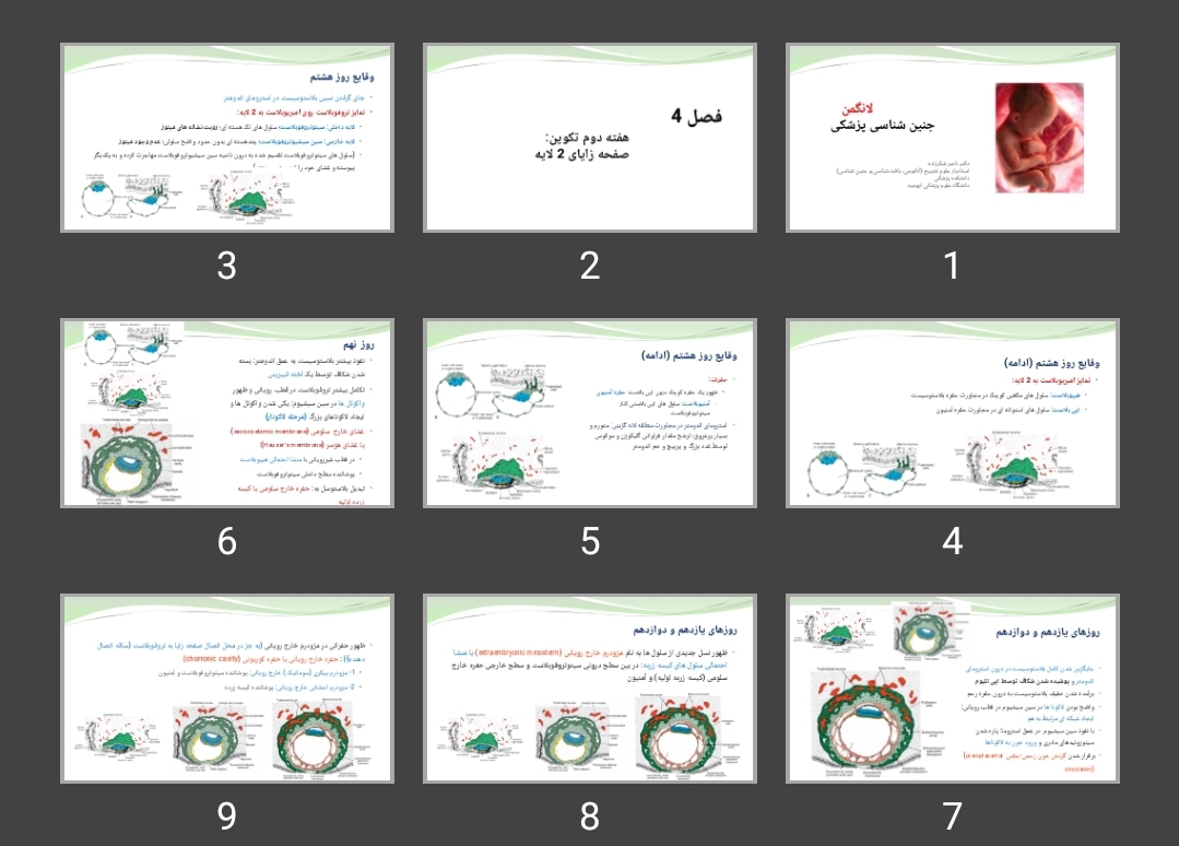 پاورپوینت هفته دوم تکوین: صفحه زایای 2 لایه