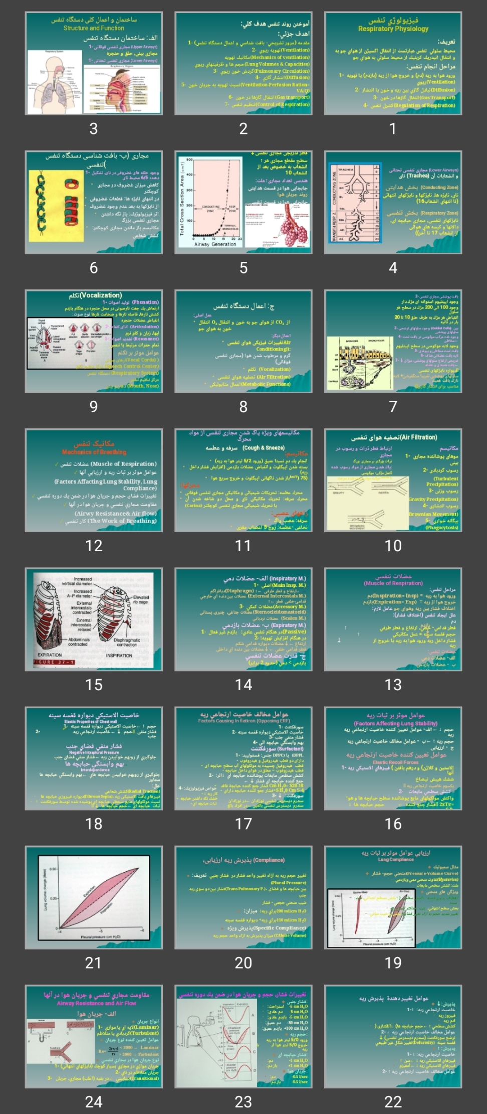 پاورپوینت فيزيولوژی تنفس Respiratory Physiology