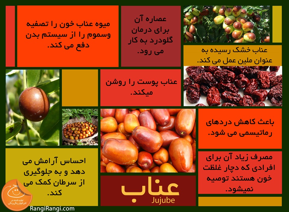گیاه دارویی عناب