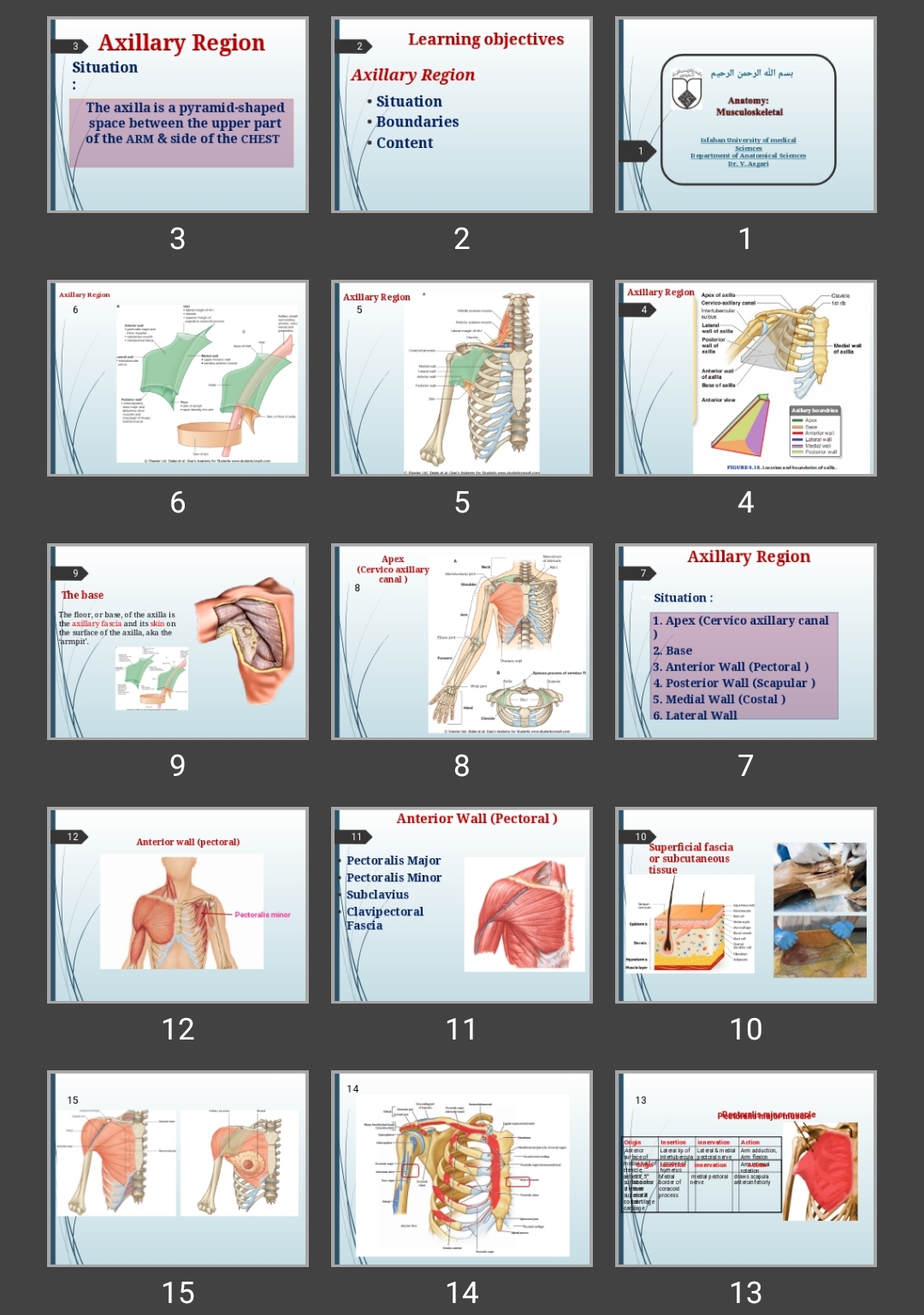 پاورپوینت آناتومی اسکلتی عضلانی Axillary Region