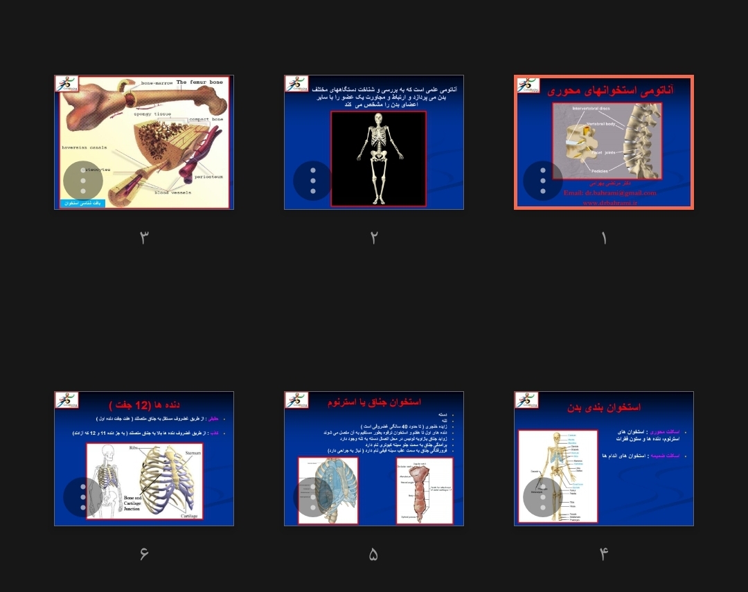 جزوه آناتومی استخوان های محوری