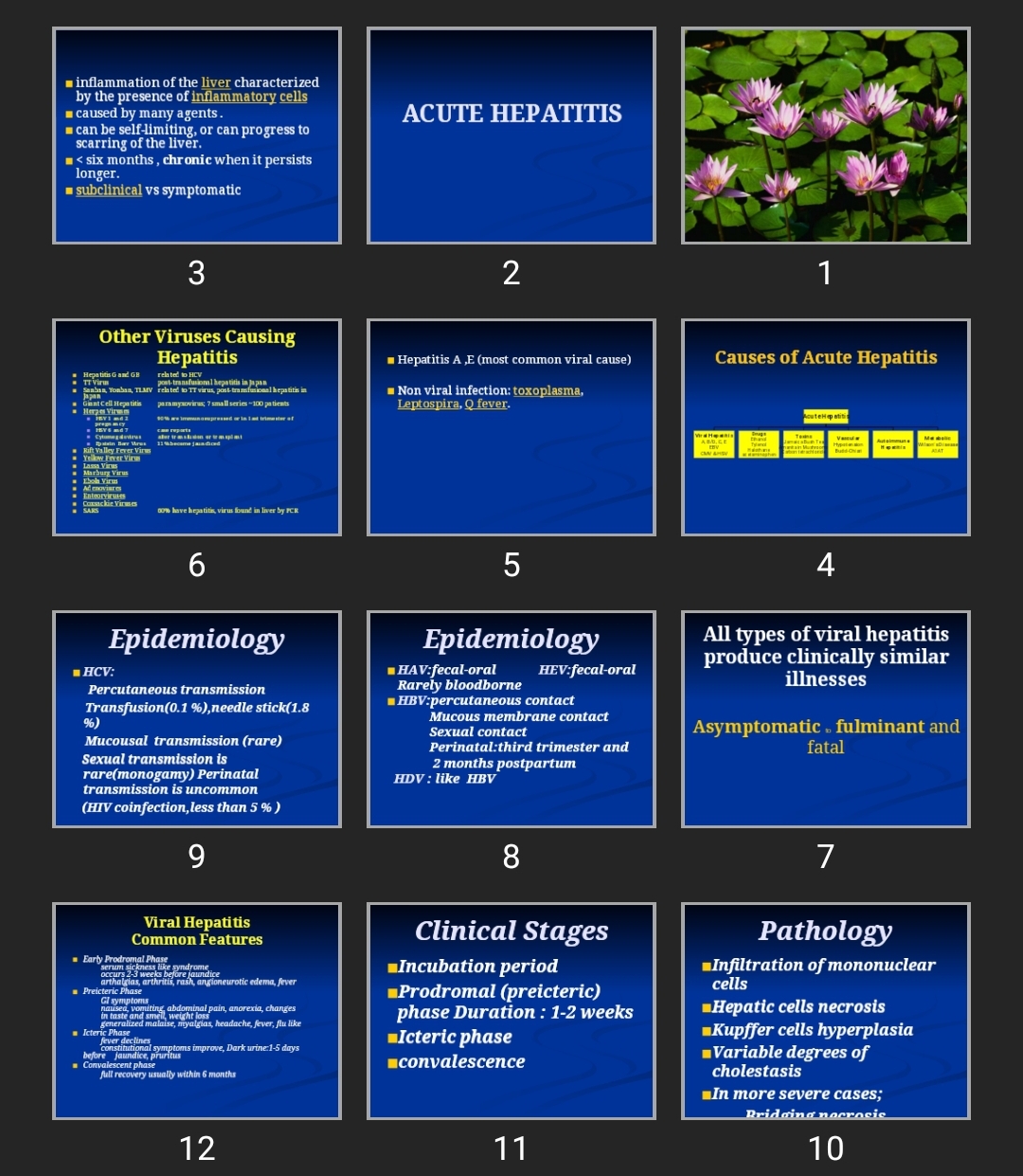 پاورپوینت ACUTE HEPATITIS