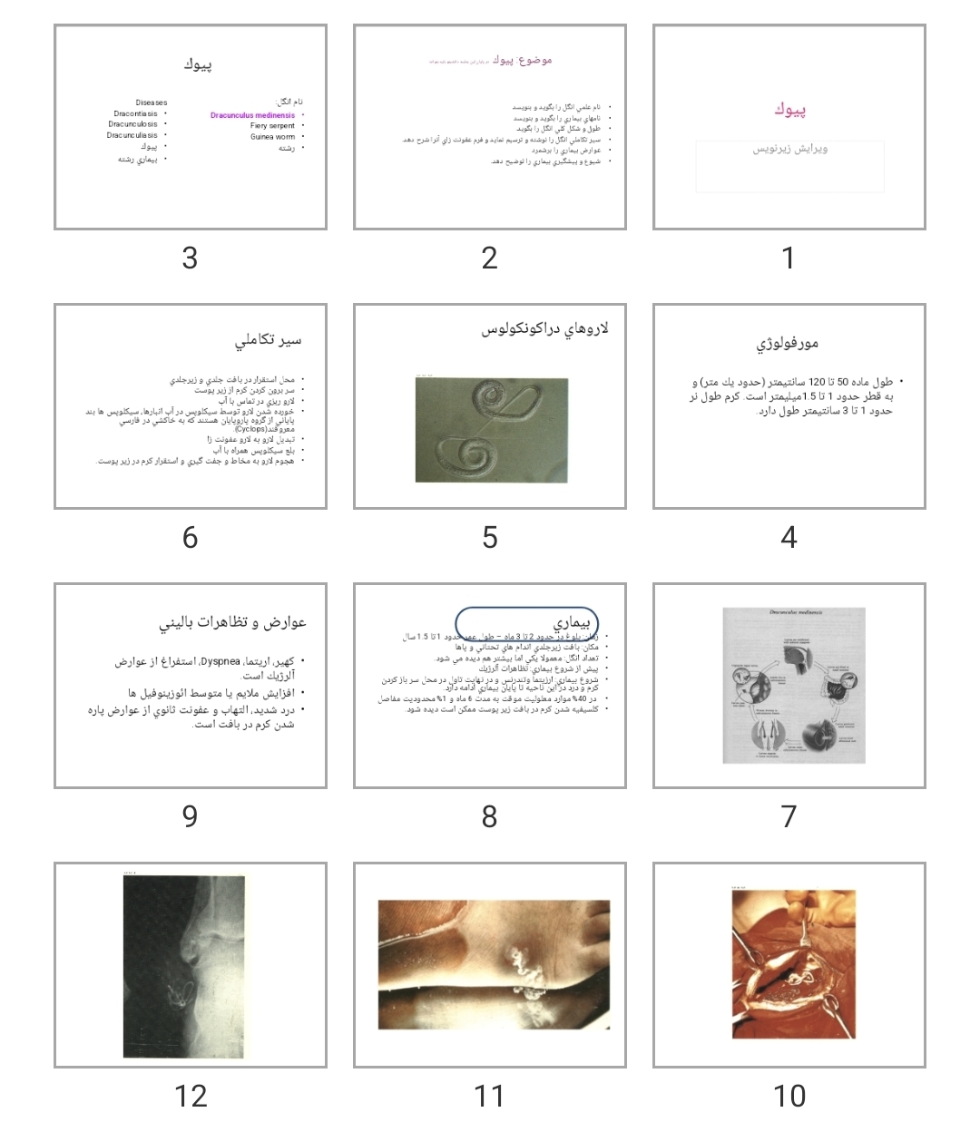 پاورپوینت پيوک