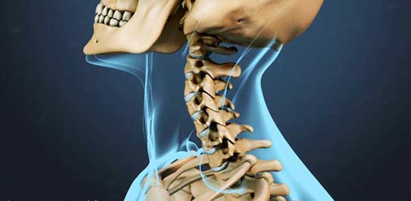 جزوه آناتومی و بیماری های سروگردن در تصویربرداری پزشکی + PDF کتاب آناتومی اسنل