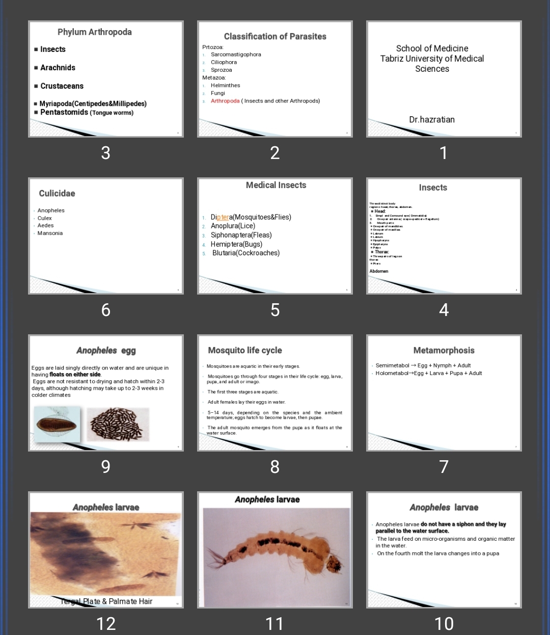 پاورپوینت Classification of Parasites