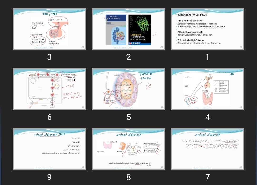 پاورپوینت Thyroid Hormones