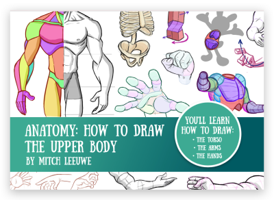 Anatomy: how to draw the Upper body by Mitch Leeuwe
