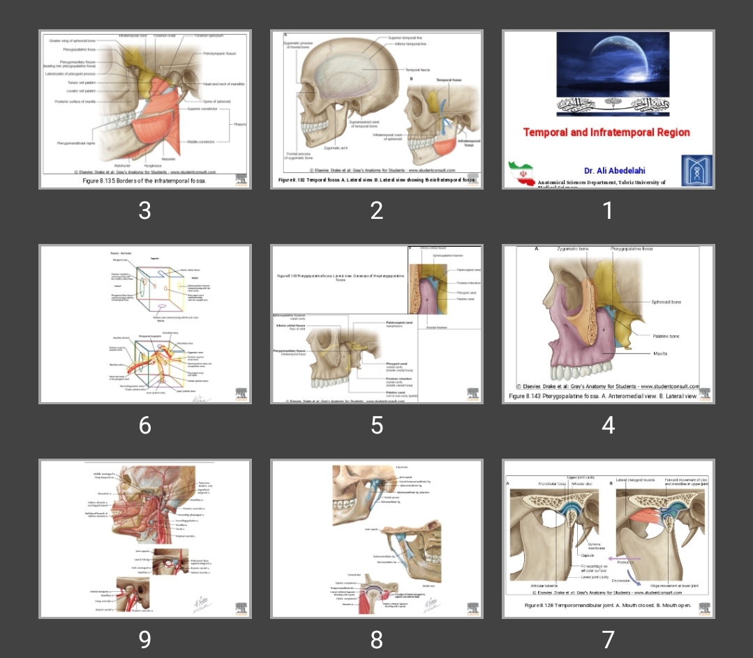 پاورپوینت Temporal and Infratemporal Region