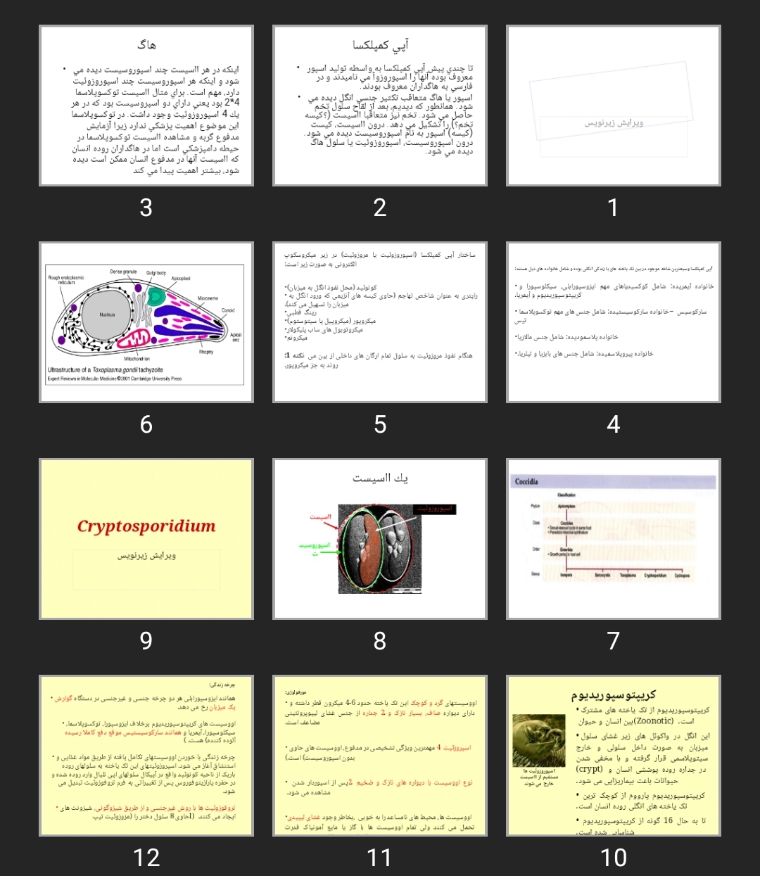 پاورپوینت آپی كمپلكسا