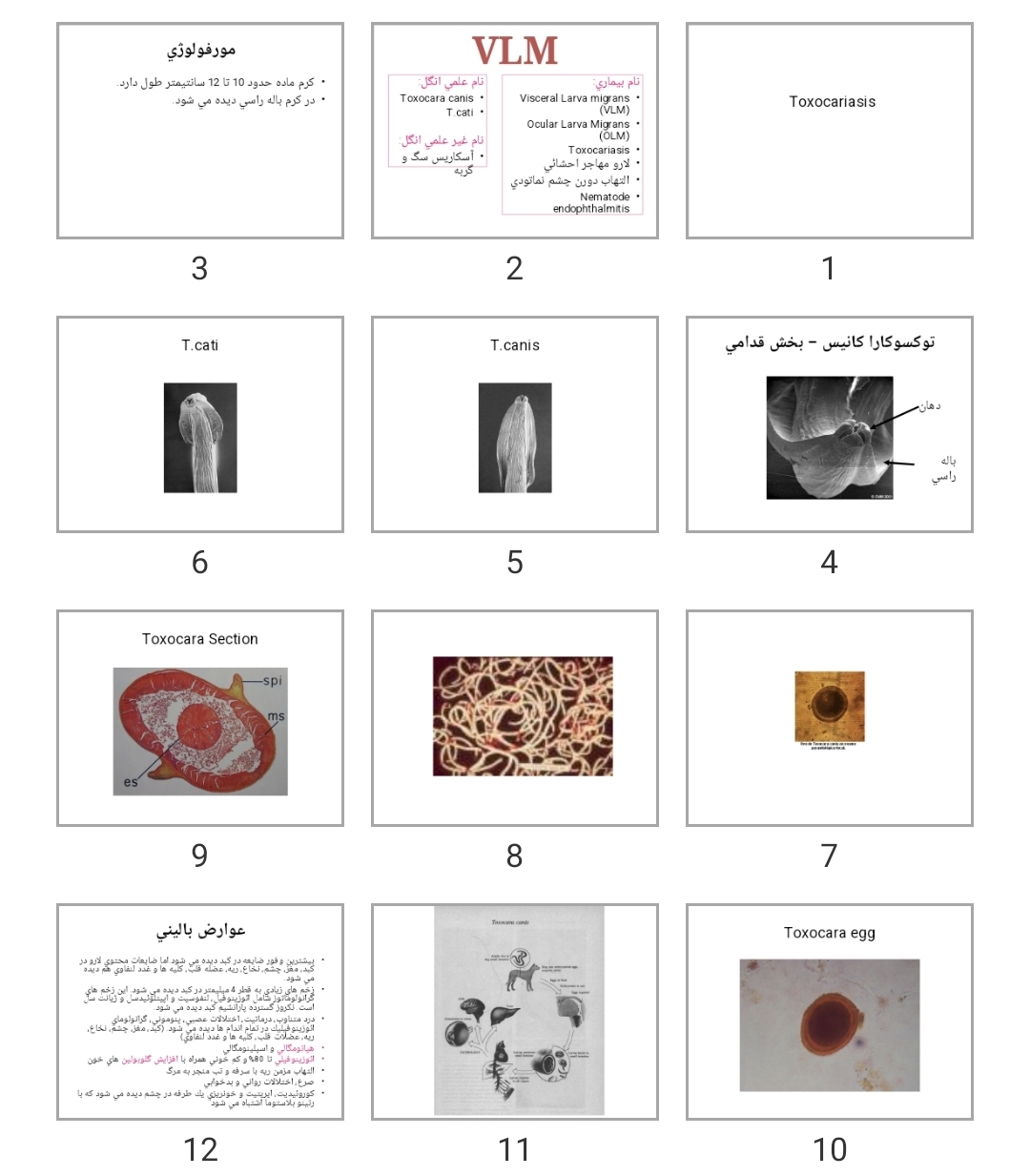 پاورپوینت VLM