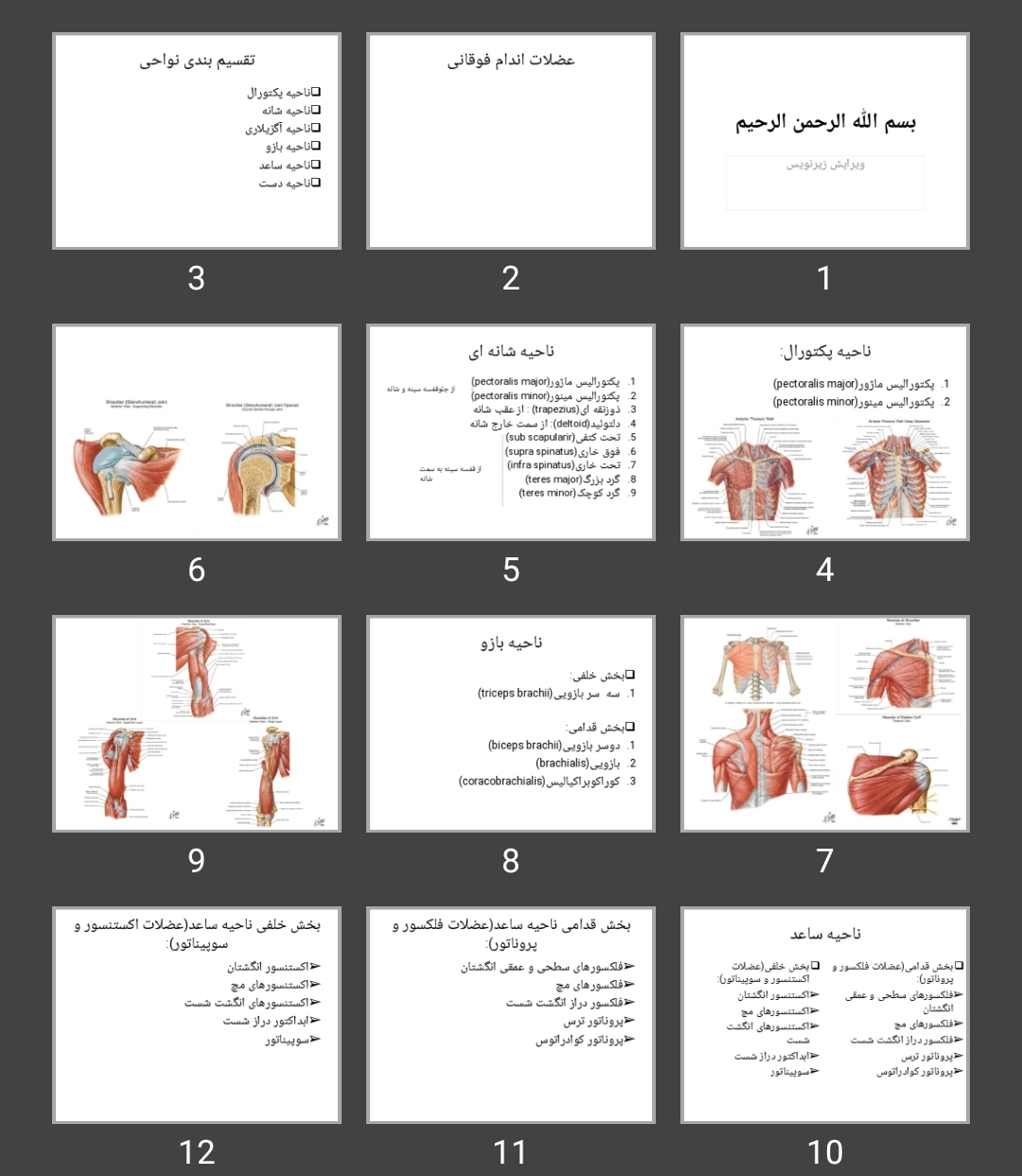 پاورپوینت رادیولوژی عضلات(عضلات اندام فوقانی)