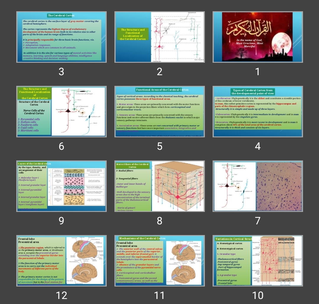 پاورپوینت The Cerebral Cortex