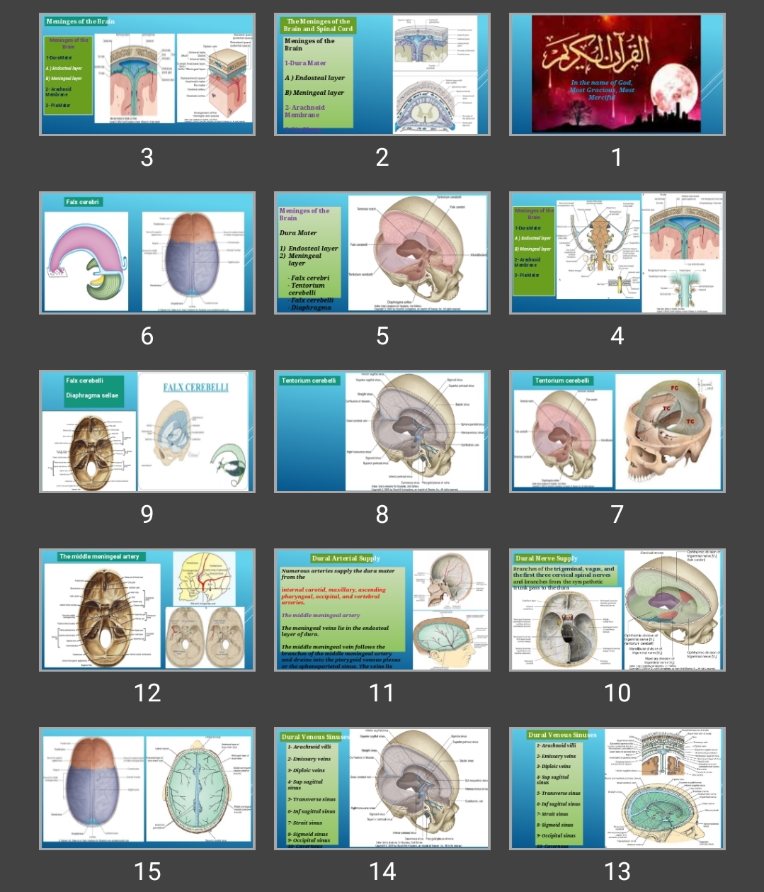 پاورپوینت The Meninges of the Brain and Spinal Cord