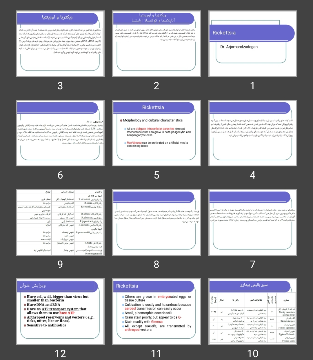 پاورپوینت ریکتزیا Rickettsia