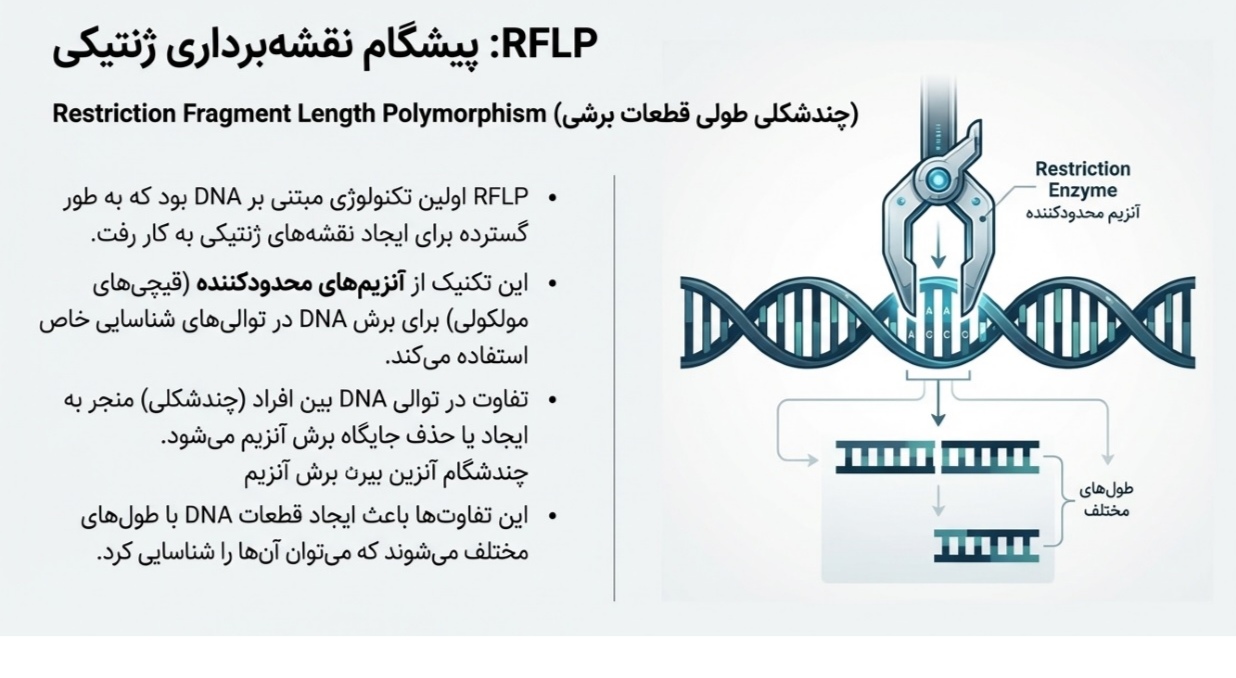 پاورپوینت/PDF تخصصی توسط هوش مصنوعی -فصل های 17-20 - مباحث پیشرفته ژنتیک مولکولی و مهندسی ژنتیک در اصول بیوتکنولوژی گیاهی_مناسب امتحان و آزمون جامع