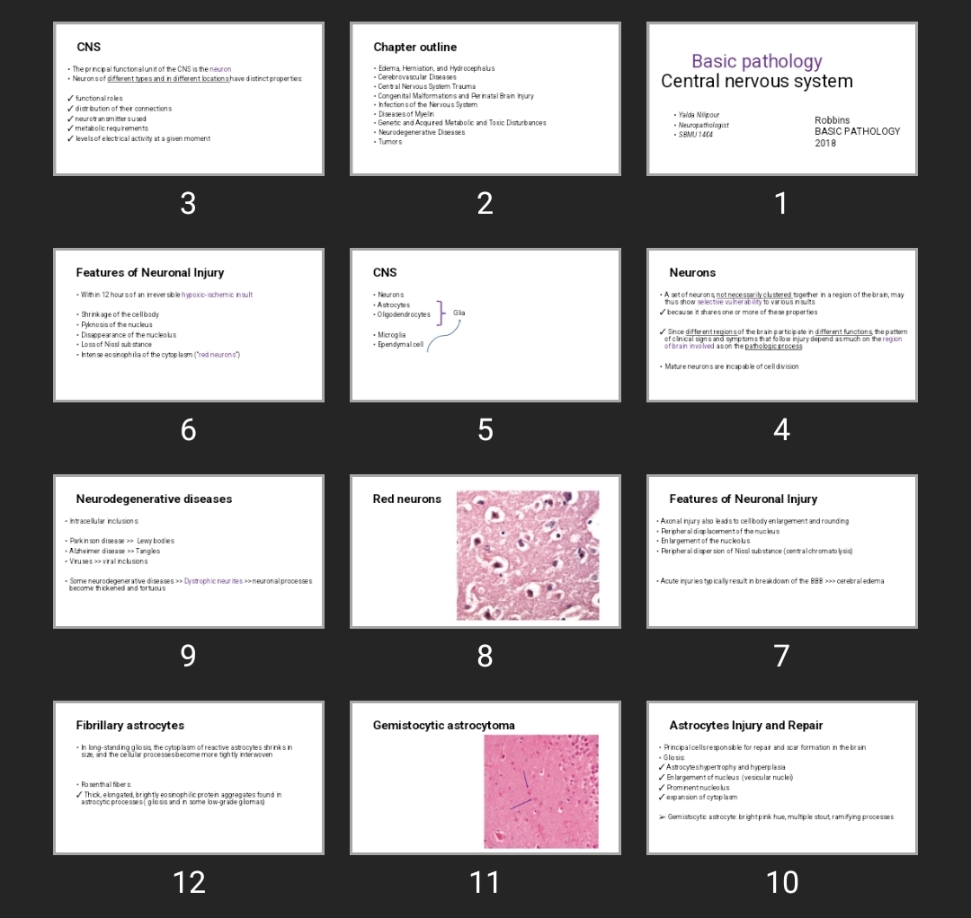 پاورپوینت Basic pathology Central nervous system
